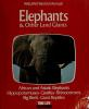 Elephants___other_land_giants