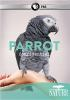Parrot_confidential