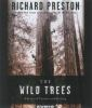 The_wild_trees