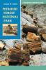 Petrified_Forest_National_Park