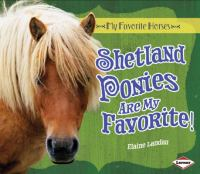 Shetland_ponies_are_my_favorite_