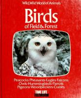 Birds_of_field___forest